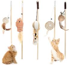 Cat Toy